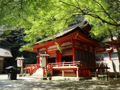 春薫る南風を求めて ～列車で行く四国縦走の旅路～ ②土讃線で行く琴平・龍河洞