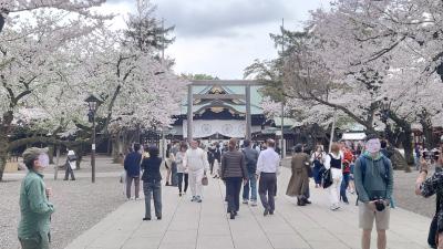 《靖国神社参詣》　満開の桜の下で