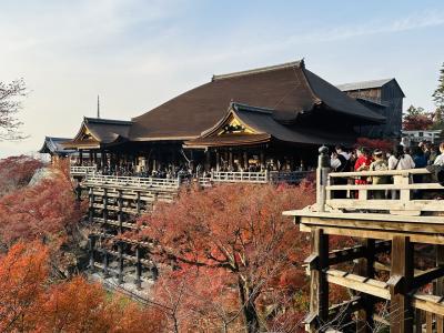 京都観光4日目は清水寺に八坂神社。