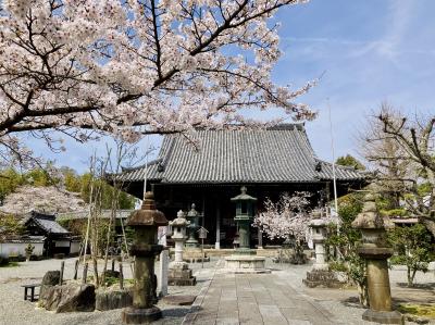 5年ぶりひとりお花見部in京都②　2日めは亀岡で霊場巡りと一乗寺の鶏だく