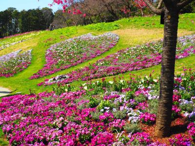 里山ガーデンフェスタ2024と四季の森公園