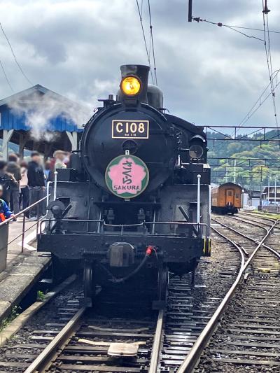 大井川鐵道大井川本線『ＳＬさくら号』に乗車して家山駅『桜トンネル』でお花見（・ω・）/♪