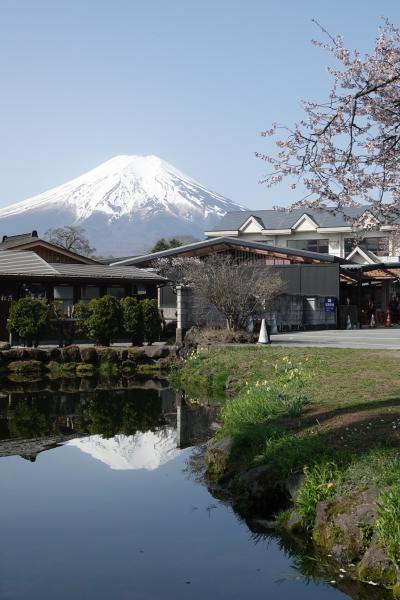 富士山巡りで富士五湖ドライブしてみた 2024