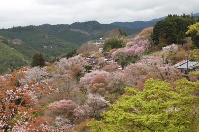 英語のできないおじさんの国内ツアー旅　奈良吉野山