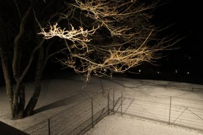 冬の軽井沢バカンス♪　Vol.55 ☆ザ・ひらまつ・軽井沢御代田：ドッグヴィラスイート　雪明り♪