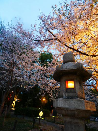 2024.仕事帰りの夜桜散歩　浅草寺・隅田川＆千鳥ヶ淵