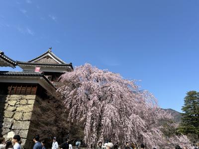 花見旅行記②　上田・小諸