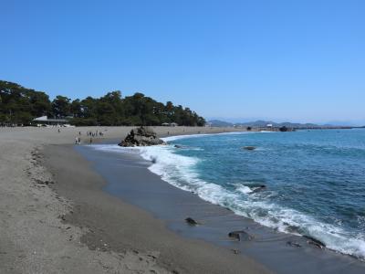 春薫る南風を求めて ~列車で行く四国縦走の旅路~ ③春爛漫の桂浜・牧野植物園