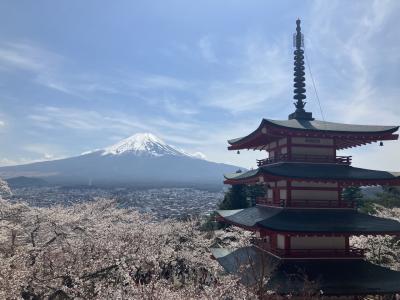 富士山と桜と塔