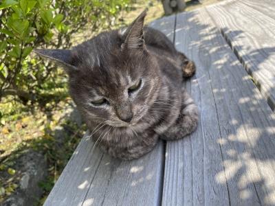 広島 尾道旅行③