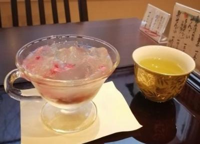 ’２４　京都・奈良桜さんぽ５　京都（京菜味のむら～大極殿本舗～THE CITY BAKERY）