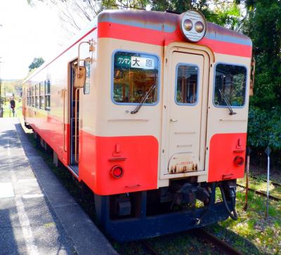 Ｍ　ＡＰＲ　２０２４　　「ノリ活４　of　２０２４・・・・・⑤いすみ鉄道　Ⅰ」