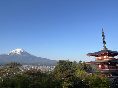 2024年のGW前半は、富士吉田で富士山と芝桜を見に行ってきました