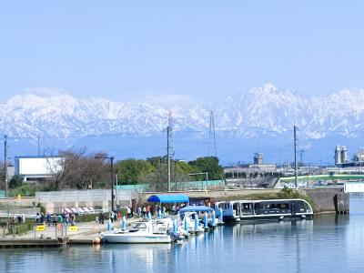 雨晴海岸と高山古城の桜／桜満開の北陸の旅①