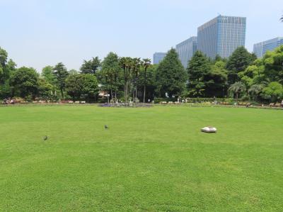 東京 千代田区 日比谷公園(Hibiya Park,Chiyoda,Tokyo,Japan)