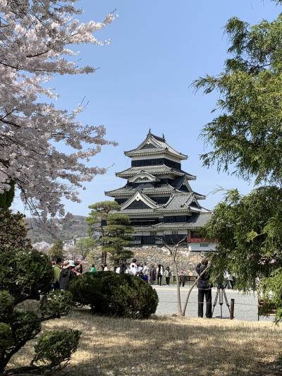 信州桜巡り旅