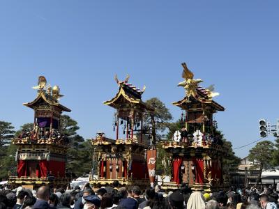 高山春祭り。初めてきたよ。