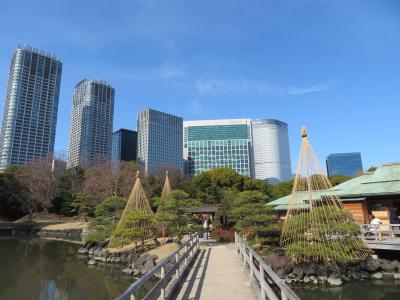 心の安らぎ旅行(2024年 ぐるっとパス備忘録 浜離宮恩賜庭園 Part4)