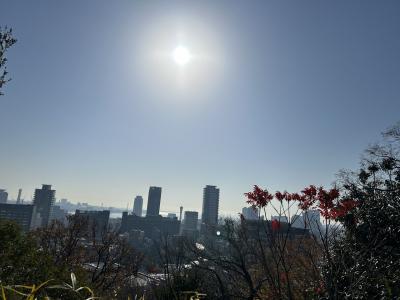 街のそばにある山　大好き六甲山散歩