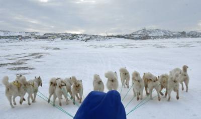 西グリーンランド・氷河とオーロラ旅　　2024.3.6～14  ５日目　犬ぞり体験＆夕陽　編