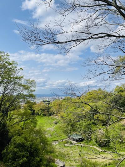 サクラチル頃 のんびりぶらぶらひとりドライブ　京都唯一の村の素敵な道の駅 ＆いちごの古都と万葉博物館 in 奈良