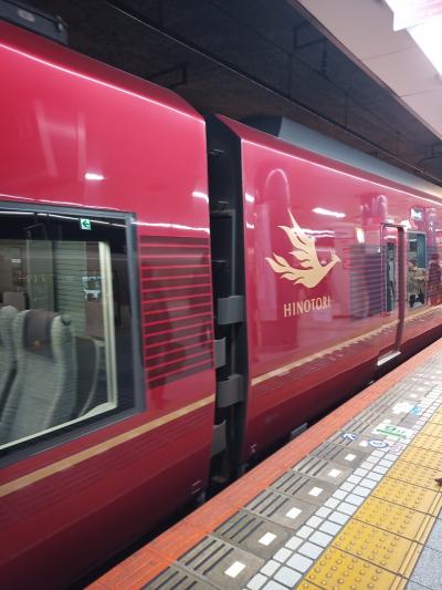 桜を求めて大和路へ(その1・大阪で早咲きの桜)