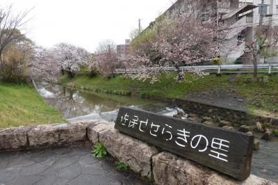 桜を求めて大和路へ(その2・奈良、大和郡山)