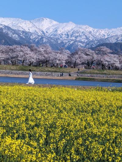 ４月の富山に行ってきました。