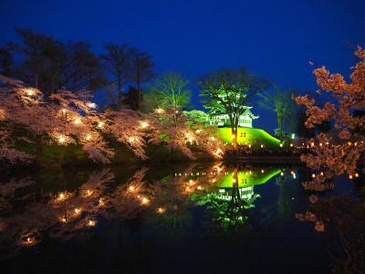 どこかにビューーン！で 桜舞う 高田城址へ☆日帰りで楽しむ 日本三大夜桜