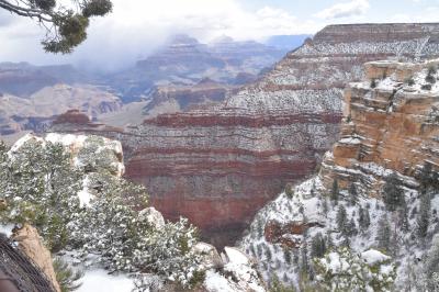 巡るU.S.A.    Grand Canyon２０２４