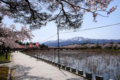 上越のひとり旅(1)～新幹線で桜咲く高田城址公園へ、そして温泉宿に連泊