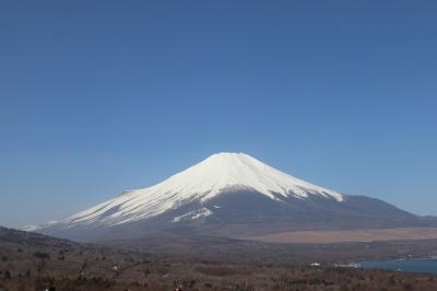 2024　春　富士山を見る　静岡、山梨ドライブ旅行②