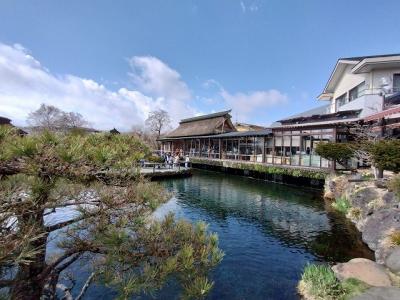 2024　春　富士山を見る　静岡、山梨ドライブ旅行③