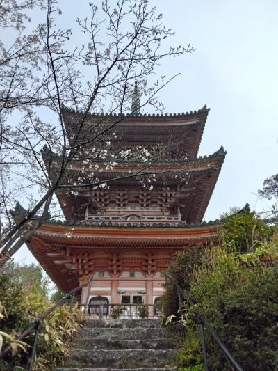 瀬戸田の国宝・向上寺三重塔などをぶらり散策