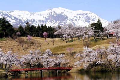 上越のひとり旅(2)～妙高山と桜の絶景を観に松ヶ峯へ、そして直江津散歩