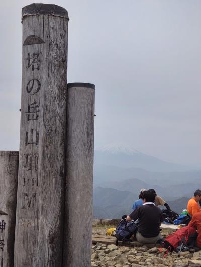 第6回　日本百低山　登頂記。No.051 塔ノ岳 1491m（とうのだけ、神奈川県）