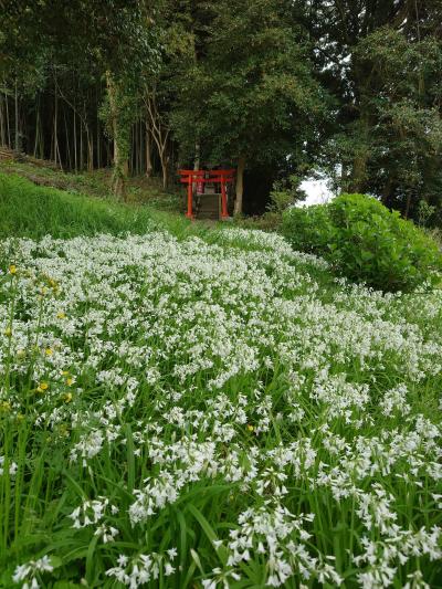 島根 神話にゆかりの地を訪ねる日帰り旅