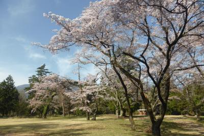 山梨に武田家の城跡を巡った(武田神社を除く)。