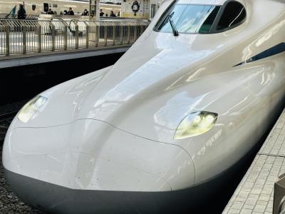 東京までの新幹線と湖南料理の李湘潭湘菜館。