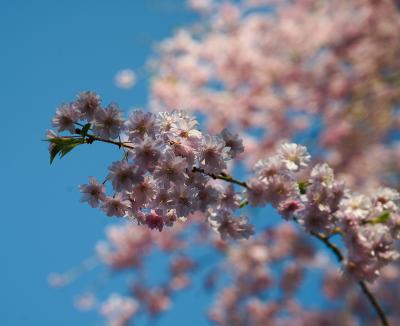 レアな滋賀・京都の美術館巡り