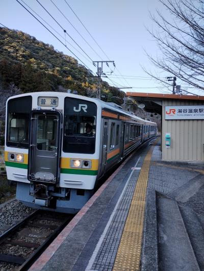 鳳来寺山から湯谷温泉