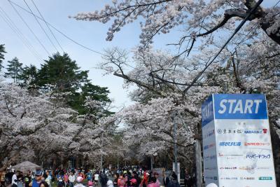 あおもり桜マラソンと青森&道南の旅