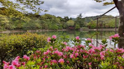 新緑を求めて布引の滝＆再度公園