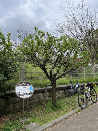 2024年4月21日　横浜水道創設導水路サイクリング
