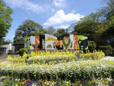 ある晴れた日の野毛山動物園