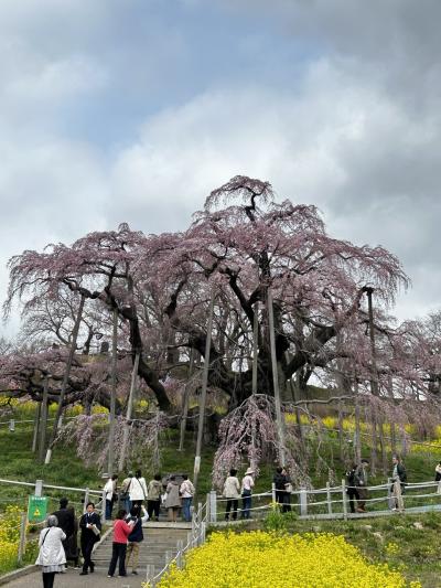 磐梯熱海温泉に行く。桜も咲くかな？
