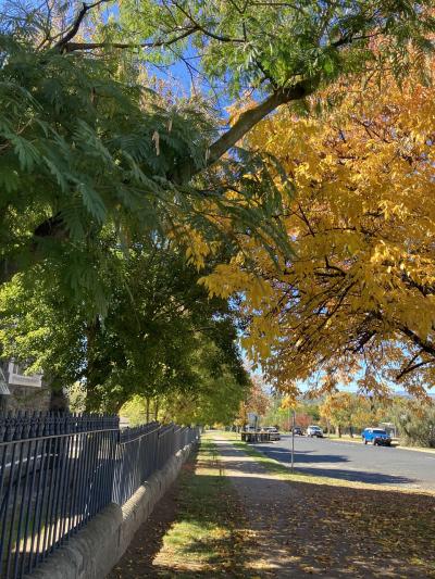 Tumut~川沿いの静かな憩いの場~