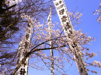 美濃・岐阜　 岐阜市街 観光スポットは桜前線・開花便りに誘われてぶらぶら歩き旅ー５