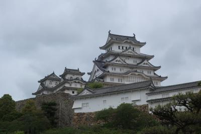 往復特急「ひのとり」で、大塚国際美術館5時間滞在と姫路城・神戸二日間の旅　その一