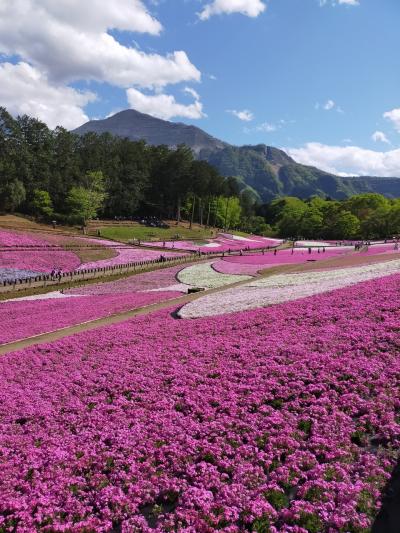 ☆ のんびり温泉とお花を求めて 春旅 ☆ 2024年4月 秩父編 No. 2